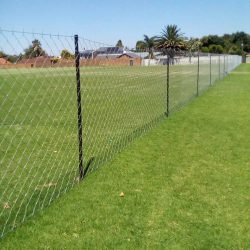 108144262_2667536130158216_5663296883932658760_n