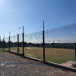 image_2023-07-04_043346793