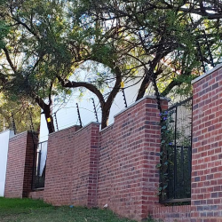 image_2023-07-04_043614094