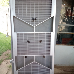 image_2023-07-04_043623154