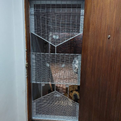 image_2023-07-04_043631771