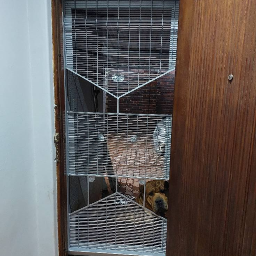 image_2023-07-04_043631771