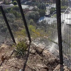 image_2023-07-04_043711322