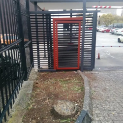 image_2023-07-04_043718933