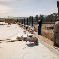 image_2023-07-04_043822030