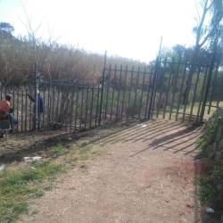 image_2023-07-04_045144459