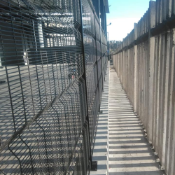 image_2023-07-04_045153569