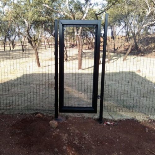 image_2023-07-04_054343185